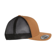 YP Classics 6606 family - 2-Tone - Caramel / Black - RightEar