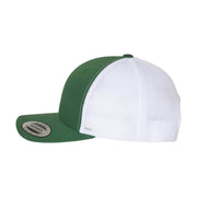YP Classics 6606 family - 2-Tone - Evergreen / White - LeftEar